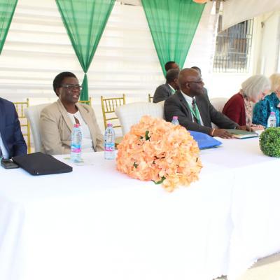 Afrehealth Commissioning Secretariat Jan2076