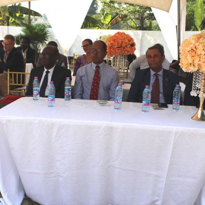 Afrehealth Commissioning Secretariat Jan2096