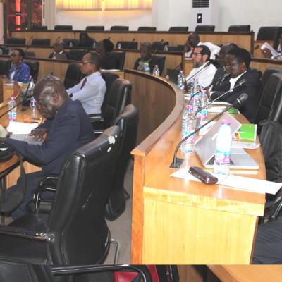 Afrehealth Council Mtg Kumasi Jan202039