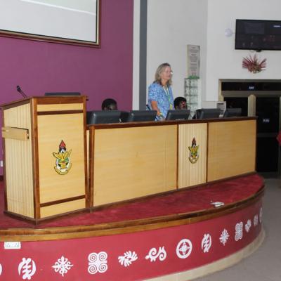 Afrehealth Council Mtg Kumasi Jan202042