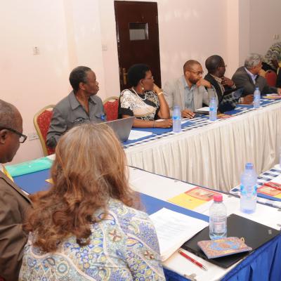 Afrehealth Meeting Lusaka Zambia Jan 2017 12 20180122 1631706944