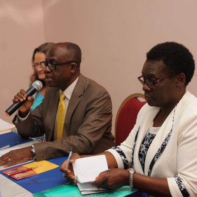 Afrehealth Meeting Lusaka Zambia Jan 2017 14 20180122 1972295841