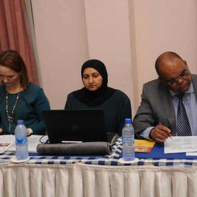 Afrehealth Meeting Lusaka Zambia Jan 2017 15 20180122 1123947290