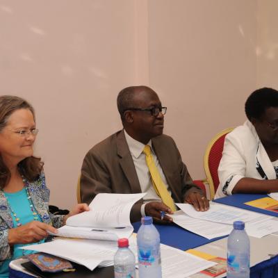 Afrehealth Meeting Lusaka Zambia Jan 2017 24 20180122 1129866026