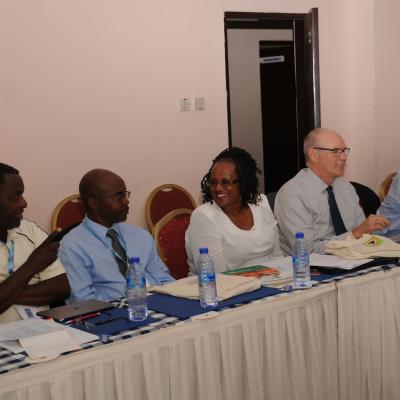 Afrehealth Meeting Lusaka Zambia Jan 2017 37 20180122 1599178966