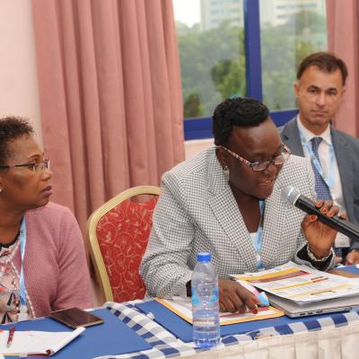 Afrehealth Meeting Lusaka Zambia Jan 2017 42 20180122 1730362939